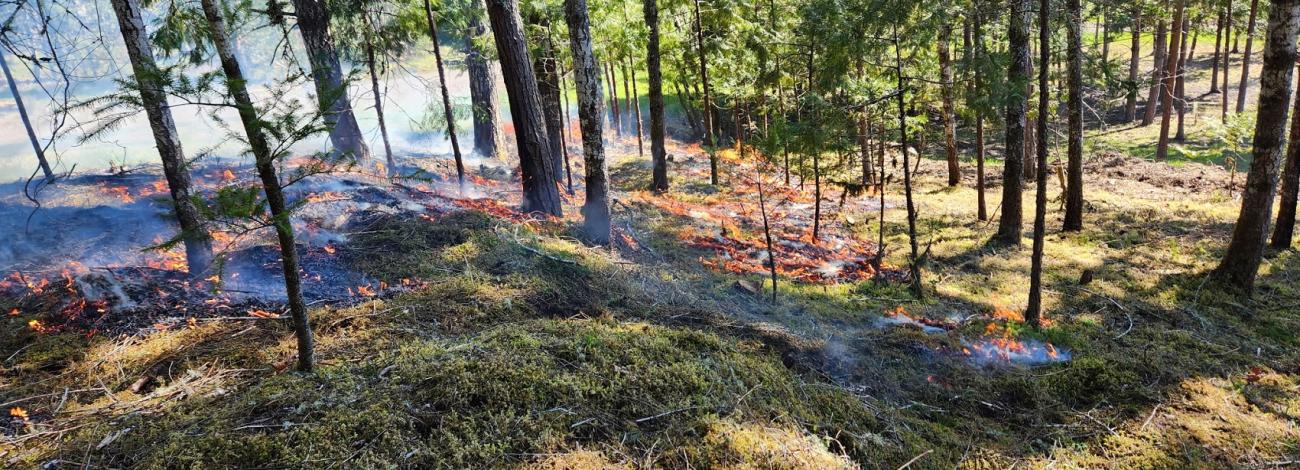 Prescribed burn. Photo by BLM Oregon staff.