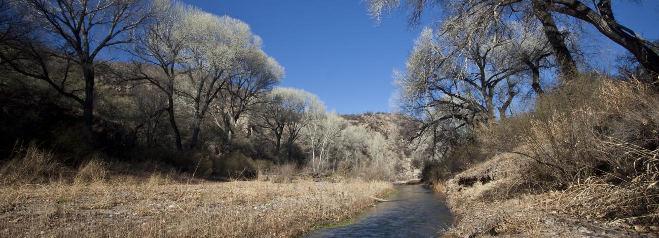 A small river flows between two banks with desert scrub brush and trees on either side.
