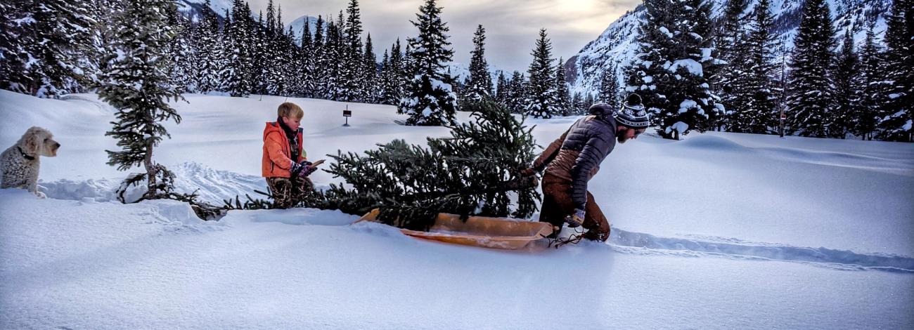 a man pulls a Christmas tree through a snowy field between mountains while a young child and dog follow behind the tree