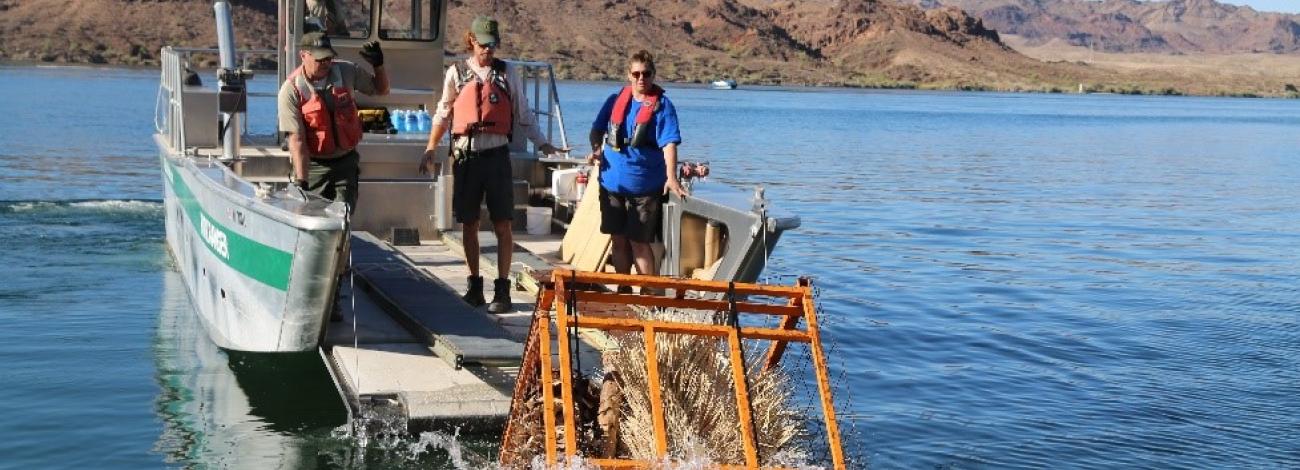 Workers in life jackets unload an orange metal frame holding a bundle of brush into a lake, with rocky shoreline terrain visible in the background.