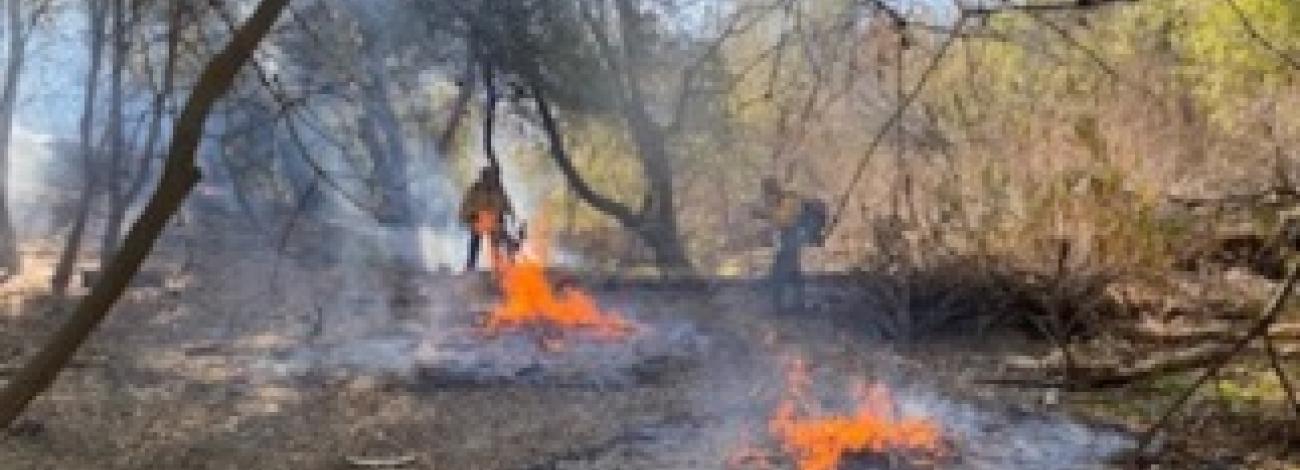 A fighter supervises two burning brush piles.