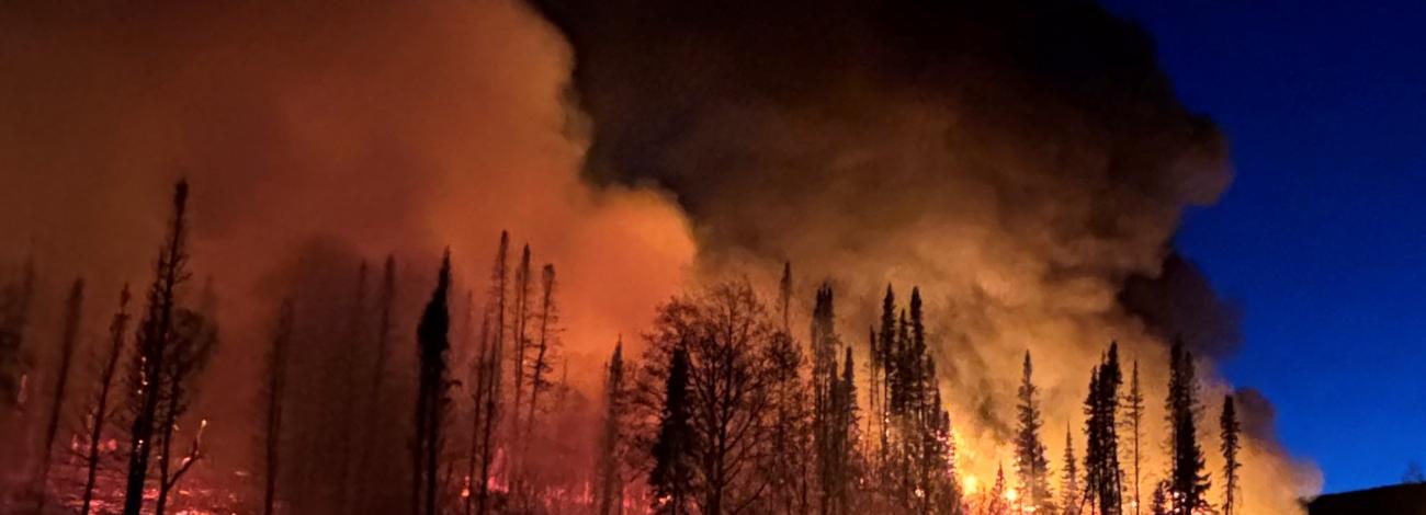 prescribed burn at night with flames and fire with trees on the horizon