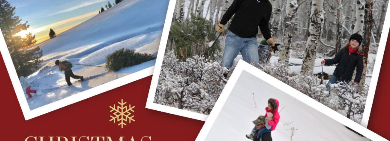 BLM-WY-ChristmasTreePermit