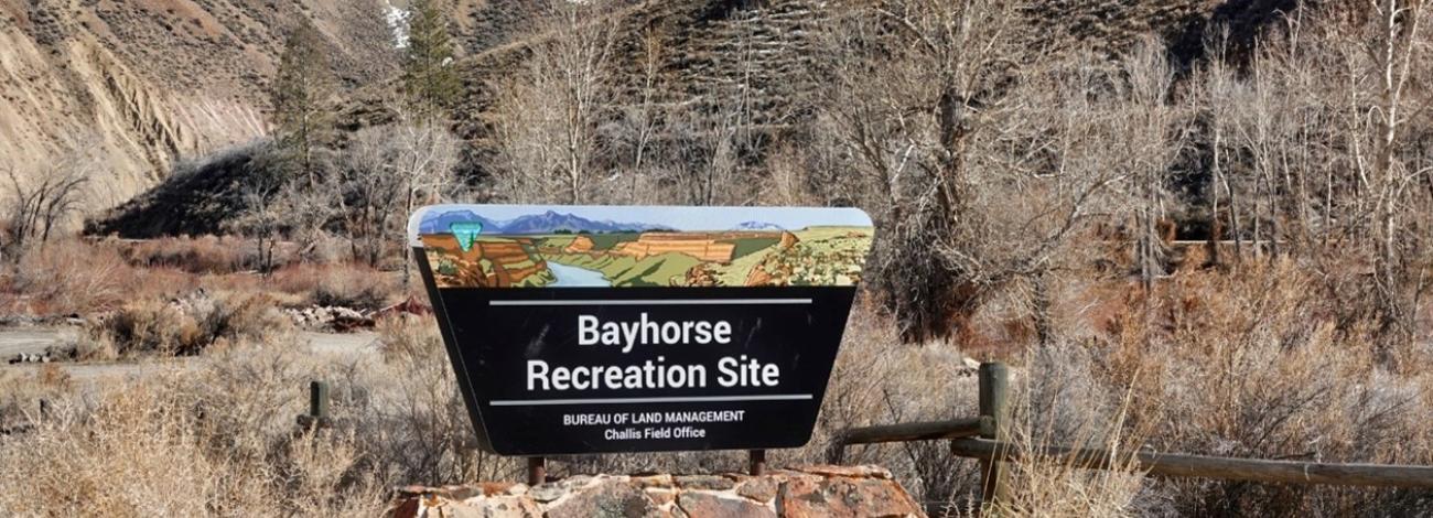 Bayhorse Recreation Site