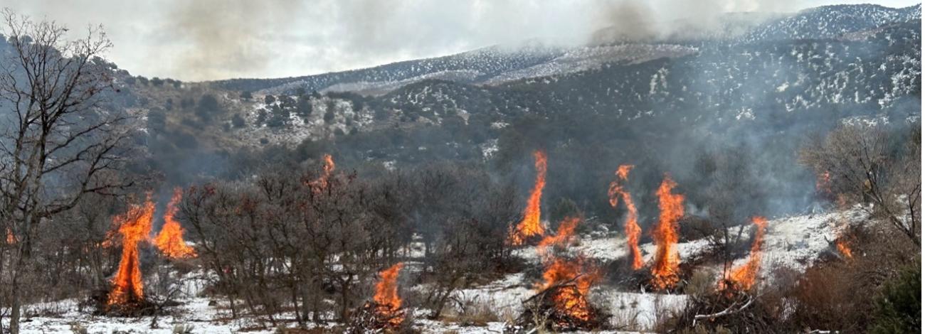 Prescribed burn in Vernal, UT.