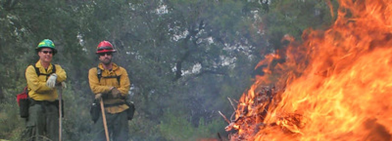 two fire fighters observe a pile burn