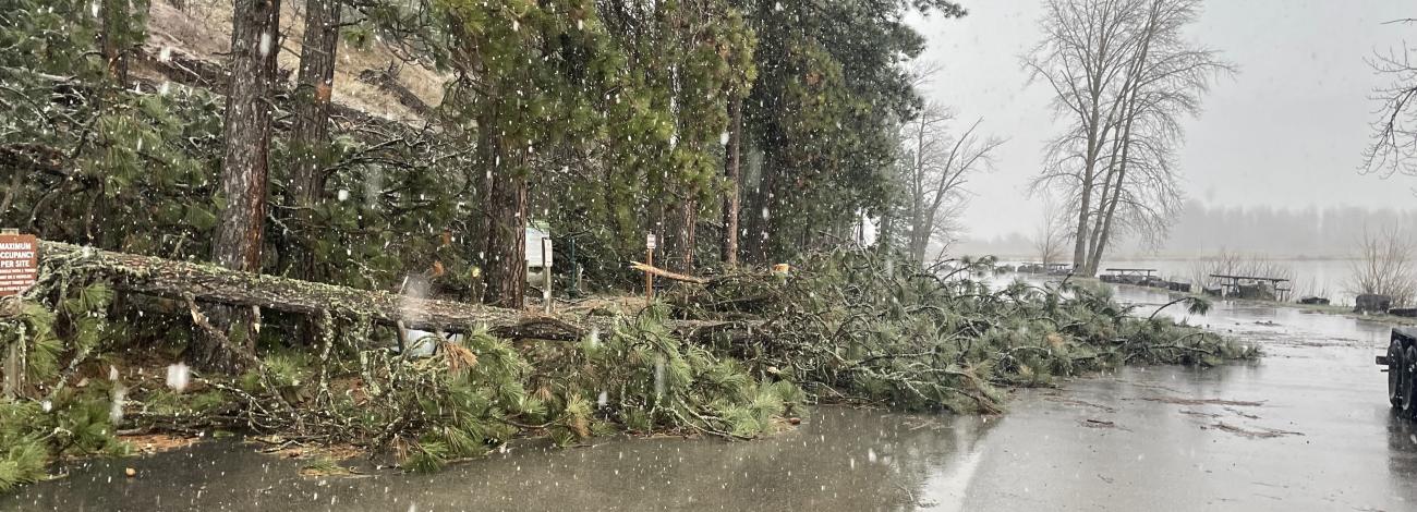 Downed trees and flooding damage at Killarney Lake Recreation Area due to storm.