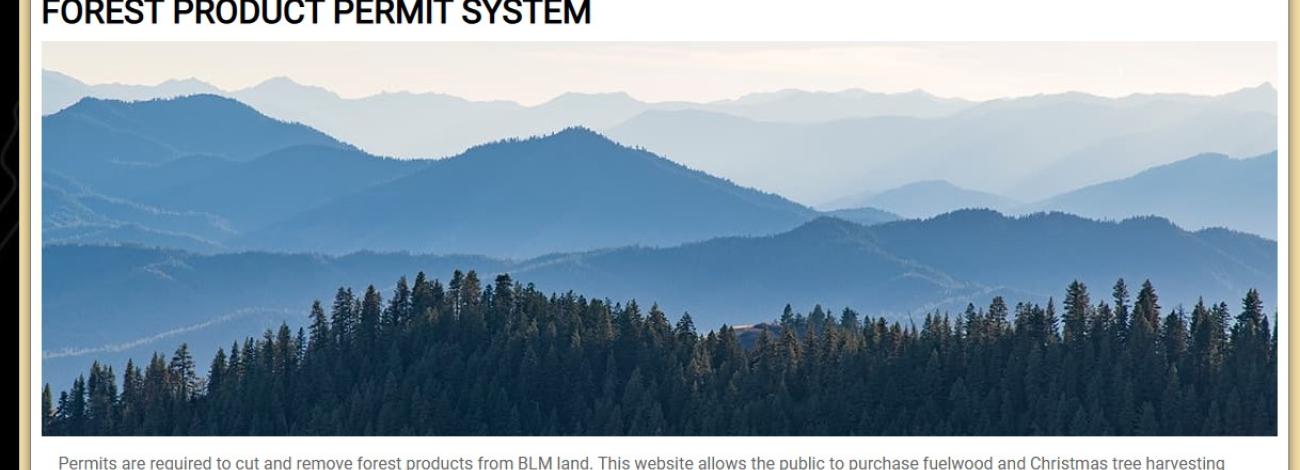 Image of the BLM webpage for forest product permits, showing the BLM triangle logo at the top and a landscape photo of forested mountains, green in the foreground and blue in the background.