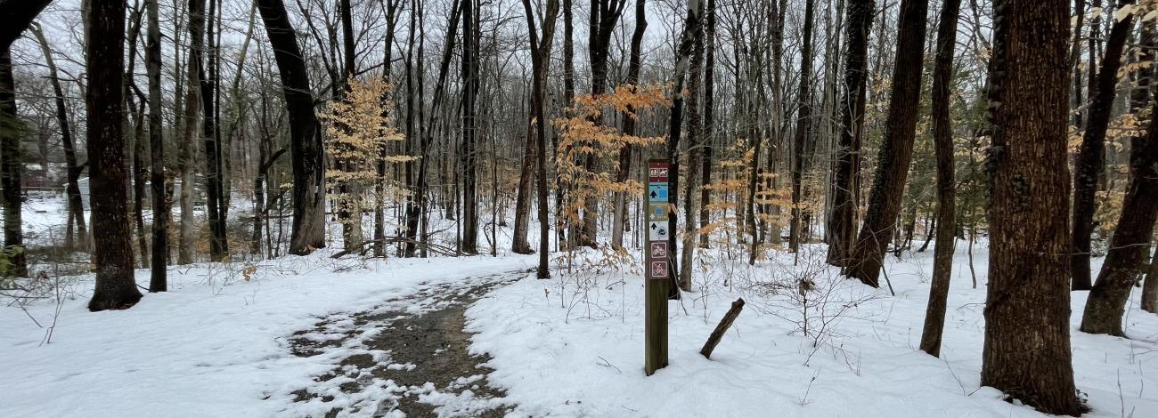 An empty hiking trail running through a snowy winter landscape with bare trees