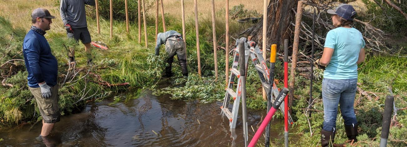 Installation of the first seven beaver dam analogues in 2020_Teaser