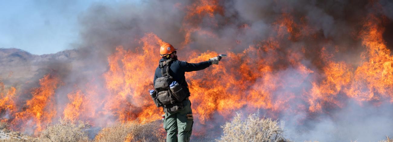 A wildland firefighter ignites dry grass during a controlled burn Nov. 20, 2024, in Nevada's Railroad Valley..