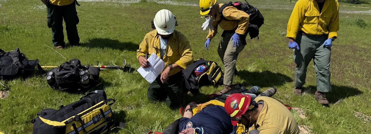 group of people in yellow nomex act out an ems training in a green field.