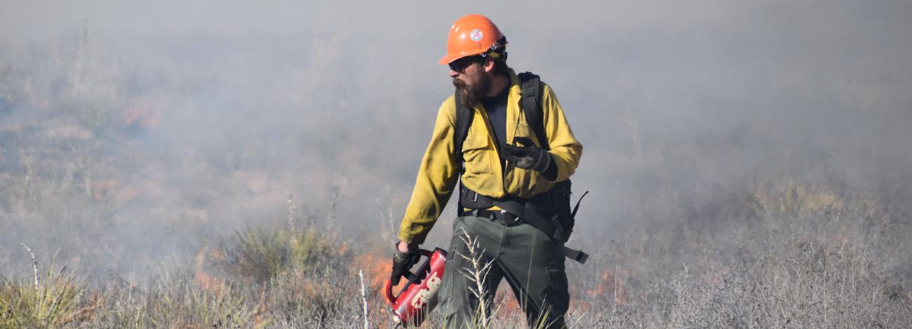 Photo of Chaves County NM RX Burn