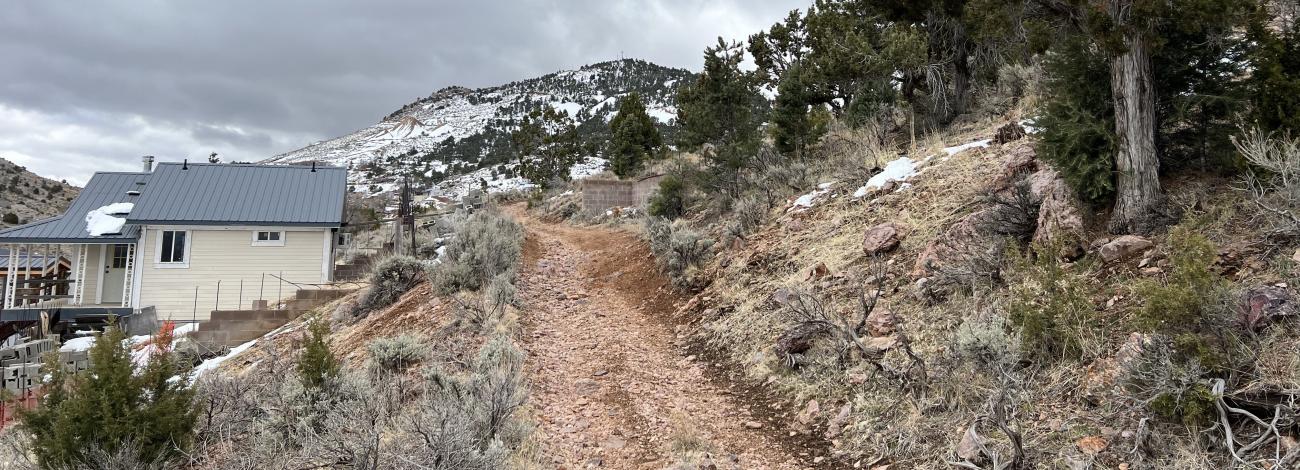 A house sitting next to a forested area with dry and dead ground vegetation.