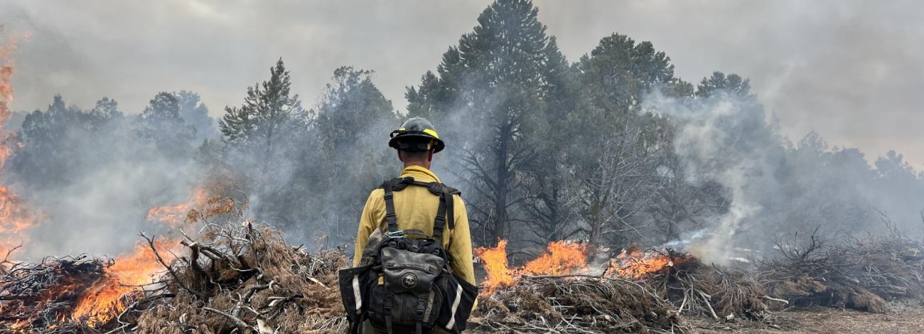 A firefighter wearing fire gear watches piles of burning vegetation. Smoke is rising from the piles and fills the visible sky.