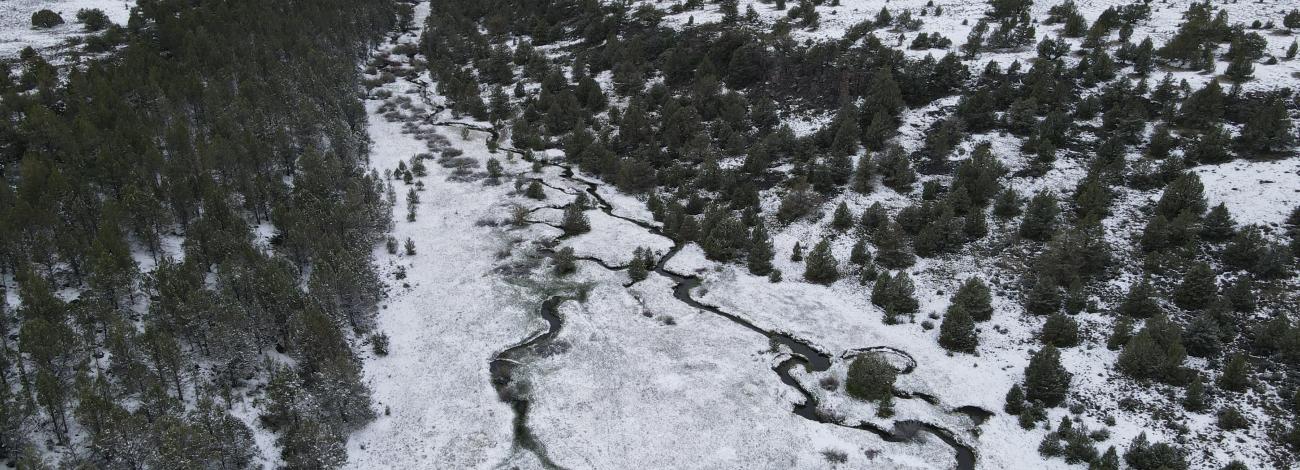 aerial view of a snowy meadow with two creeks running through them