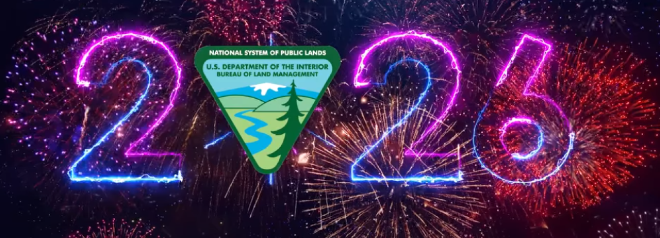 fireworks surrounding the vibrant numbers 2026 with BLM logo as the number zero