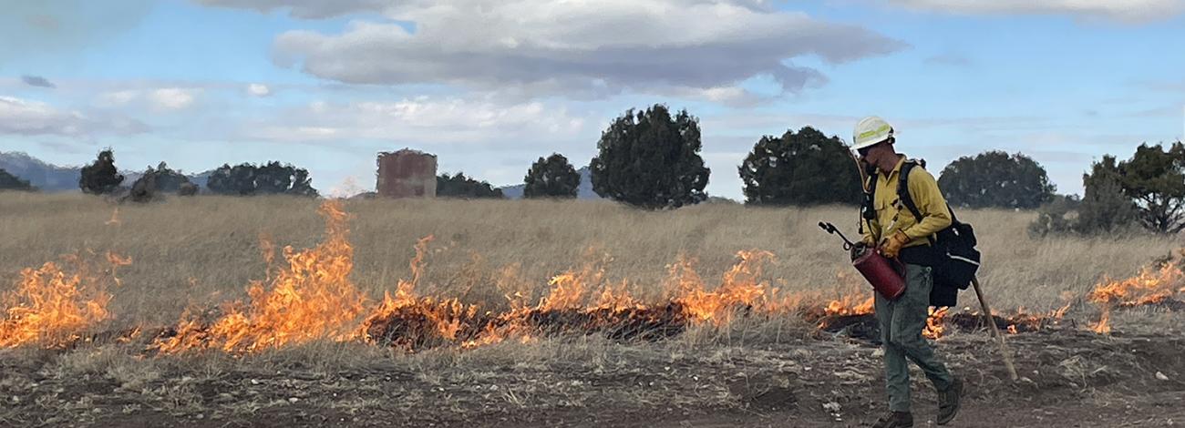 Photo of Prescribed Burn in Lincoln, NM.