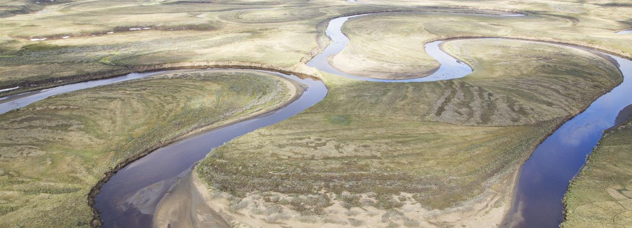 An aerial view of a river snaking through a green landscape.