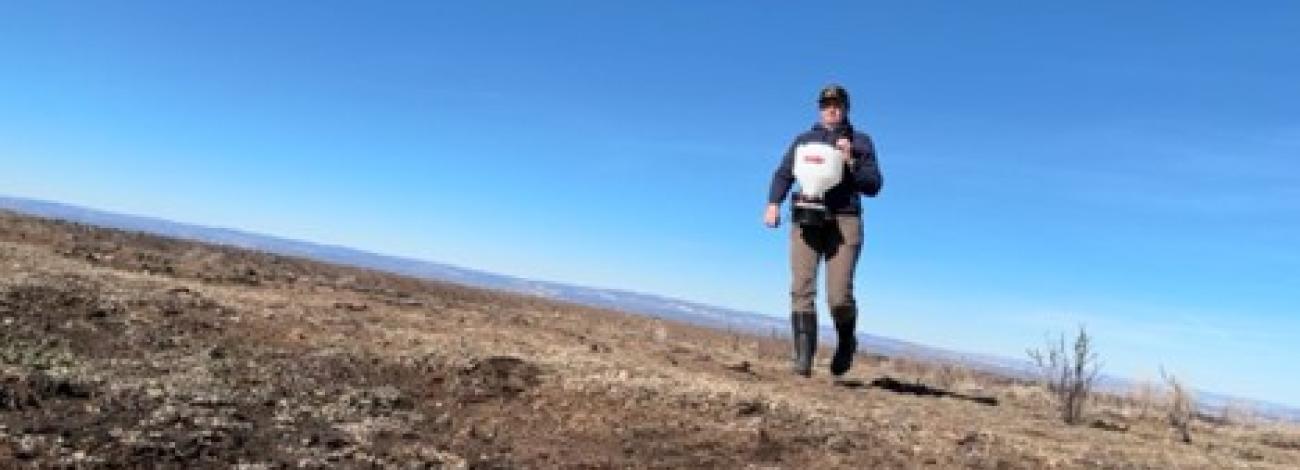 A BLM wildlife biologist uses a seed spreader to broadcast seeds.