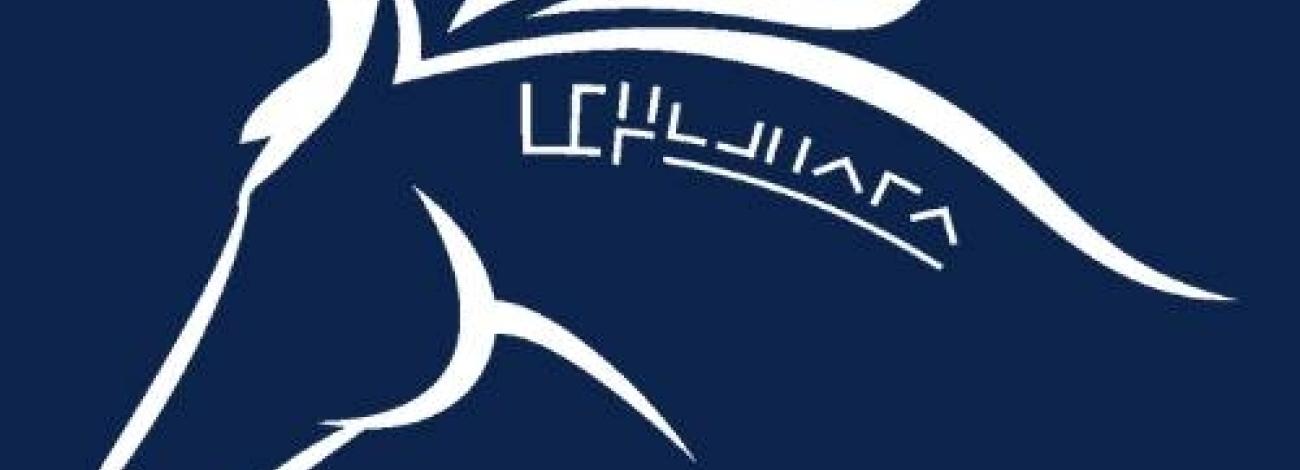 White logo on a dark blue background showing the outline of a mustang horse with a freeze mark