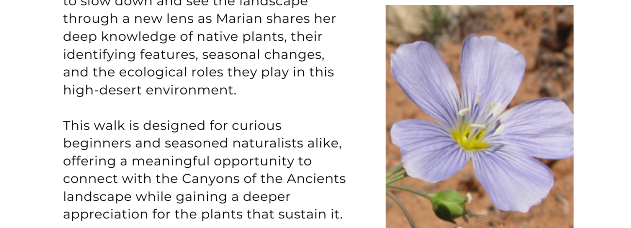 Flyer for a guided plant walk April 14, 2026 at Canyons of the Ancients National Monument.