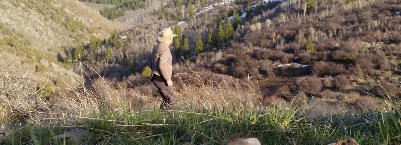 Person standing in a hilly field