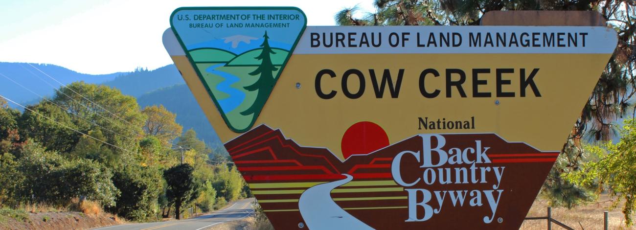 BLM outdoor sign stating Cow Creek National Back Country Byway