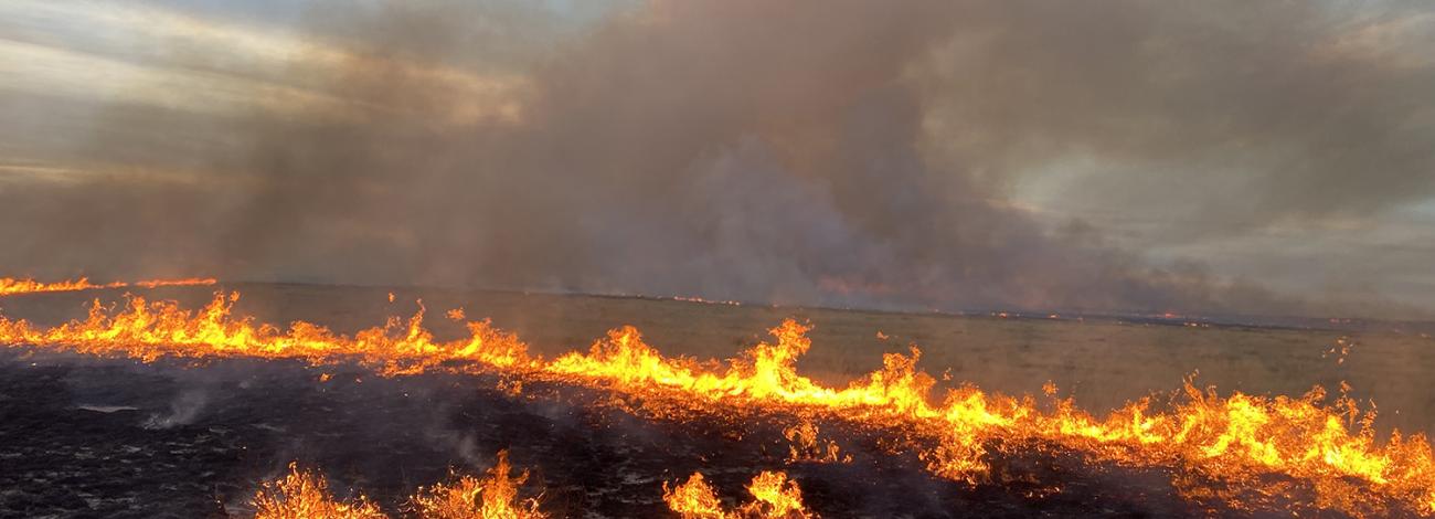 A prescribed burn in the Pecos District in New Mexico. 