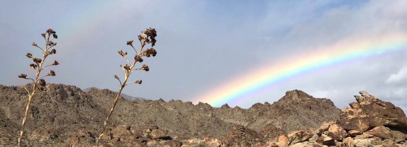 rainbow over a rocky desert