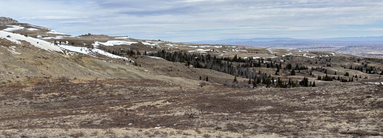 BLM-WY-ShortForkMeeteetseCreek
