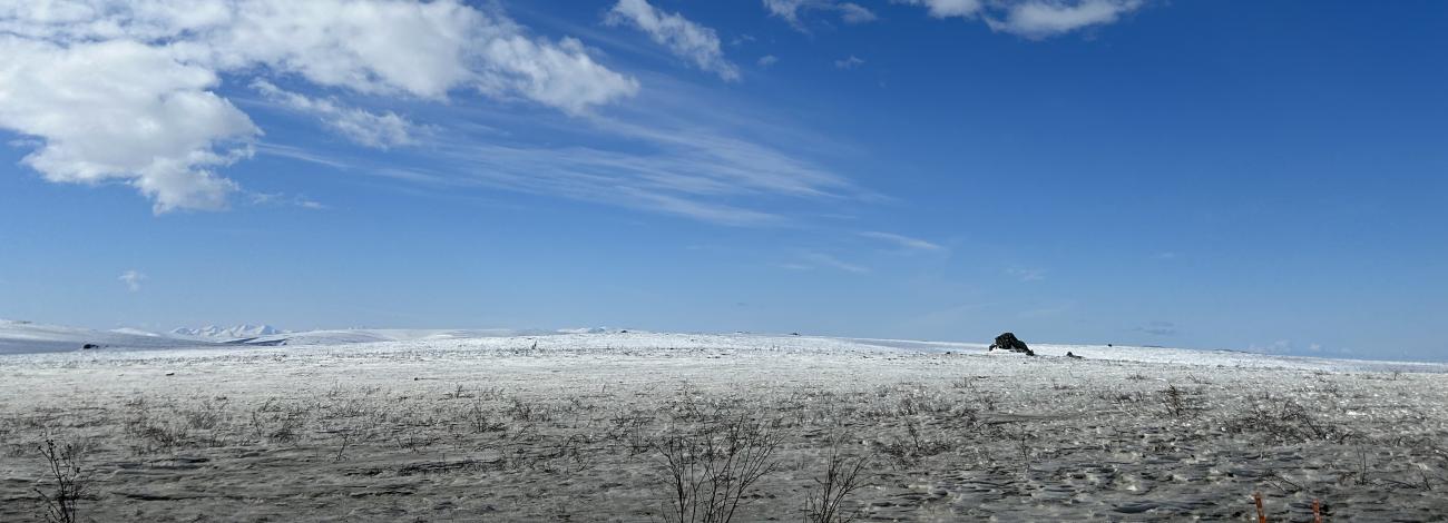 Tundra and sky in the Arctic