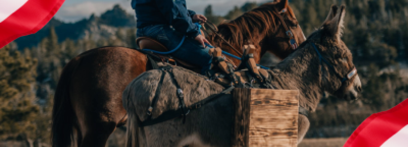A person on horseback rides alongside a burro carrying gear in a scenic outdoor setting with American flag borders.