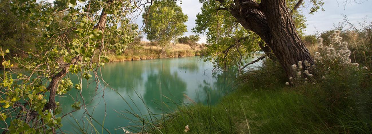 The Black River flowing through a fall landscape in New Mexico. 
