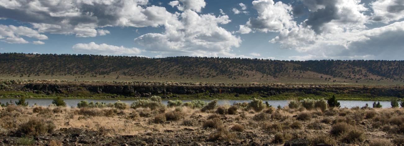 Chickahominy Recreation Site on a sunny summer afternoon. Greg Shine, BLM.