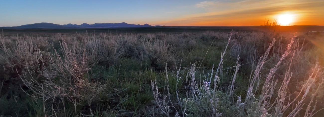 Sunrise casting warm light over a vast sagebrush prairie with distant mountains under a clear sky. 