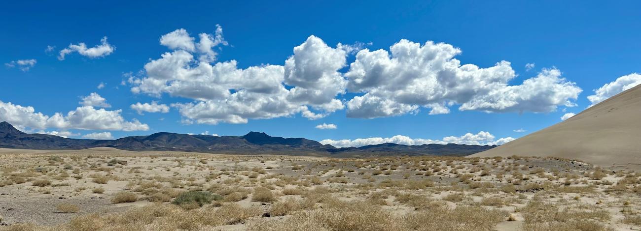 Crescent Sand Dunes recreational area near Tonopah Nevada.
