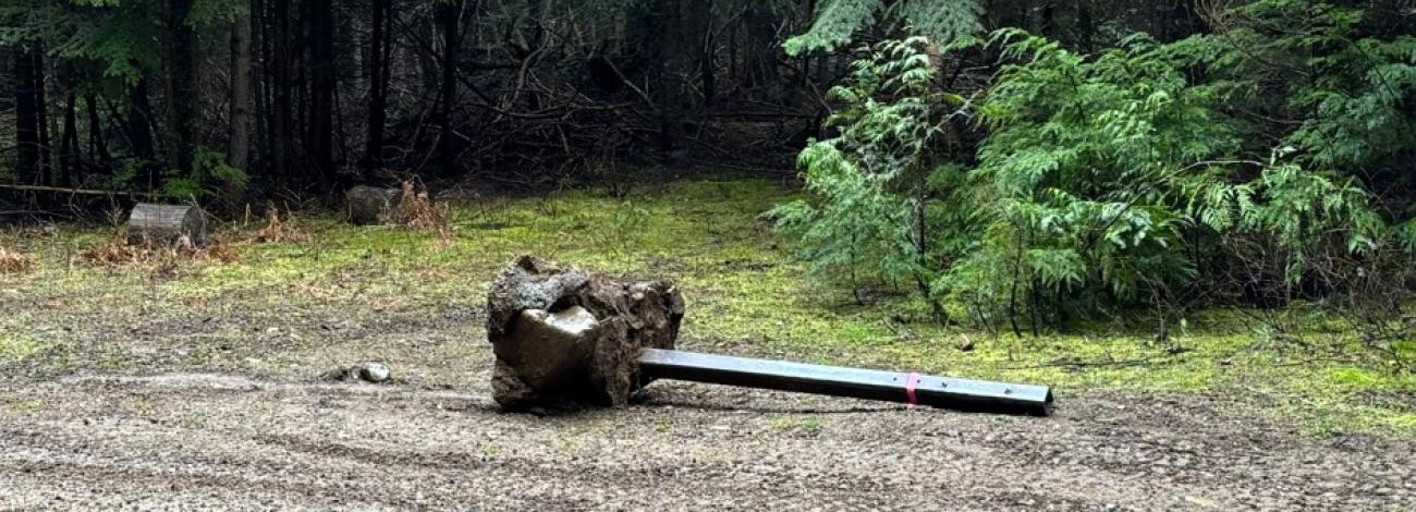 Image of post with cement base laying in a forested area.