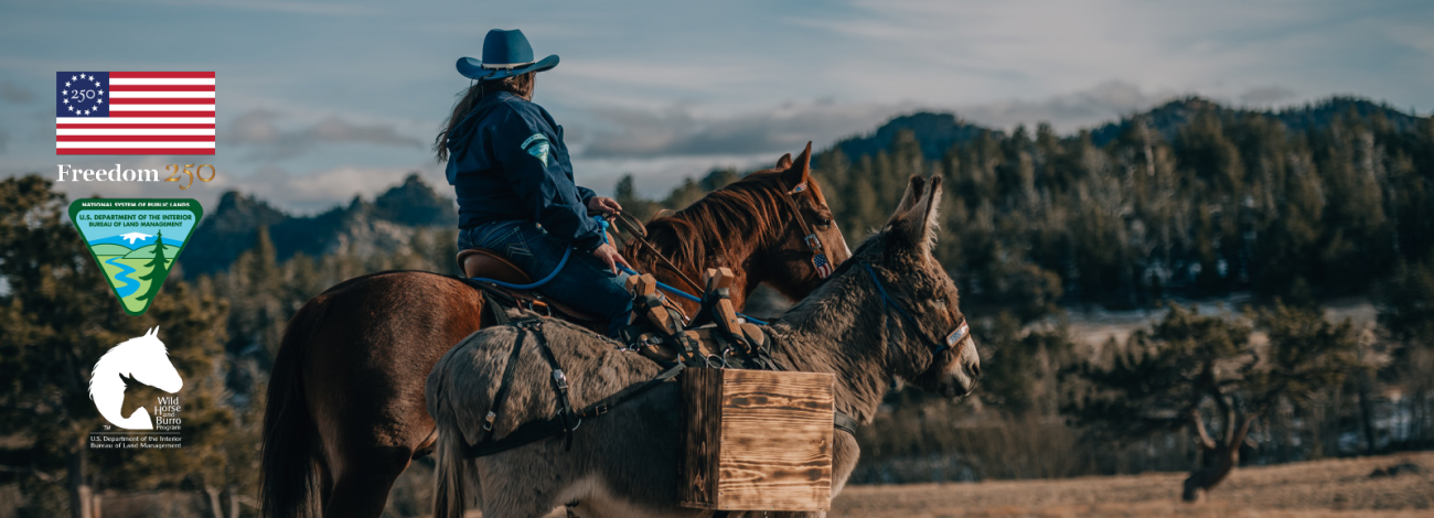 Woman in blue hat riding brown horse next to burro with panniers, with desert mountains in the distance. 