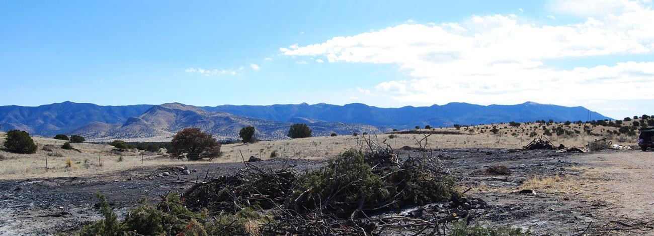 A community slash pit in Socorro, New Mexico.