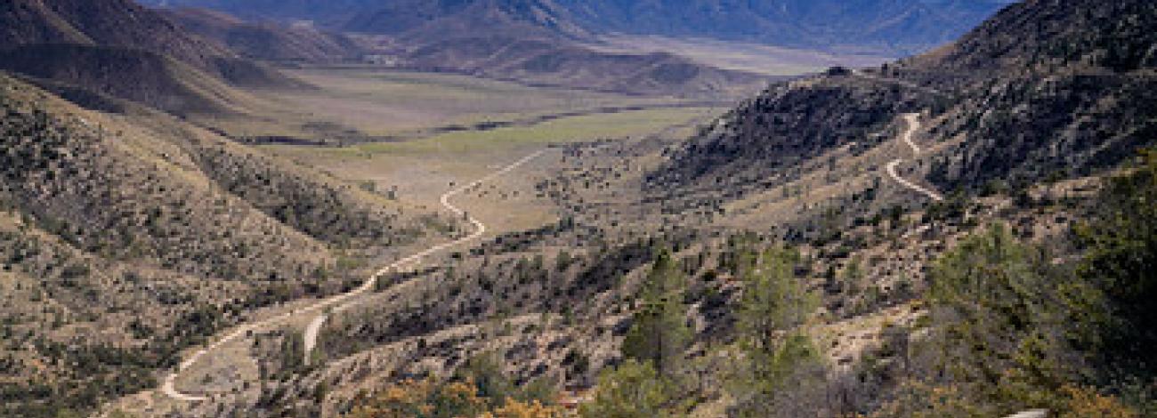 View of a dry valley with yellow flowers