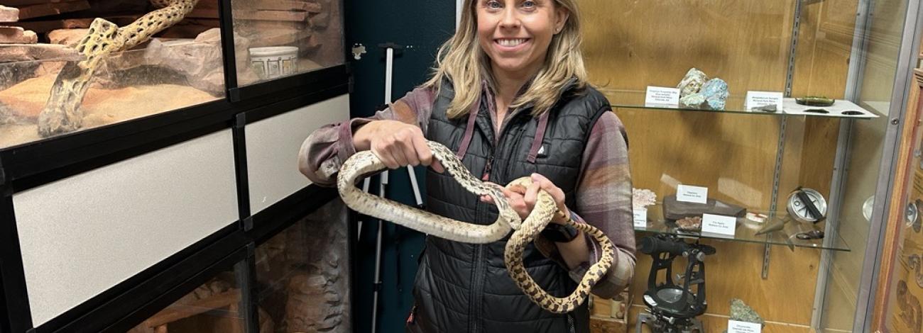 Local wildlife biologist holds gopher snake.