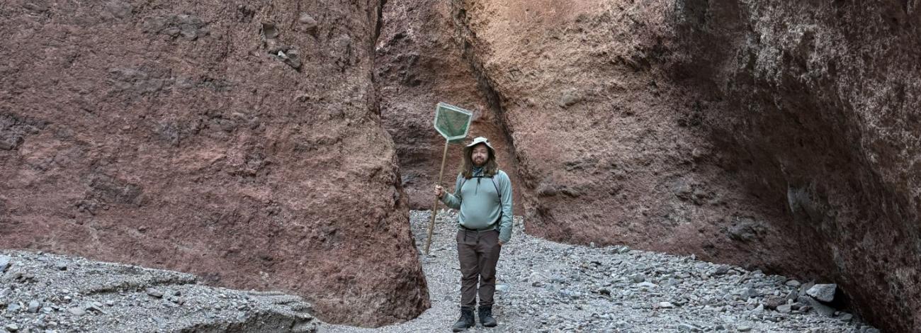 Person standing in a narrow rocky canyon holding a net, surrounded by towering reddish-brown cliffs under soft sunlight.
