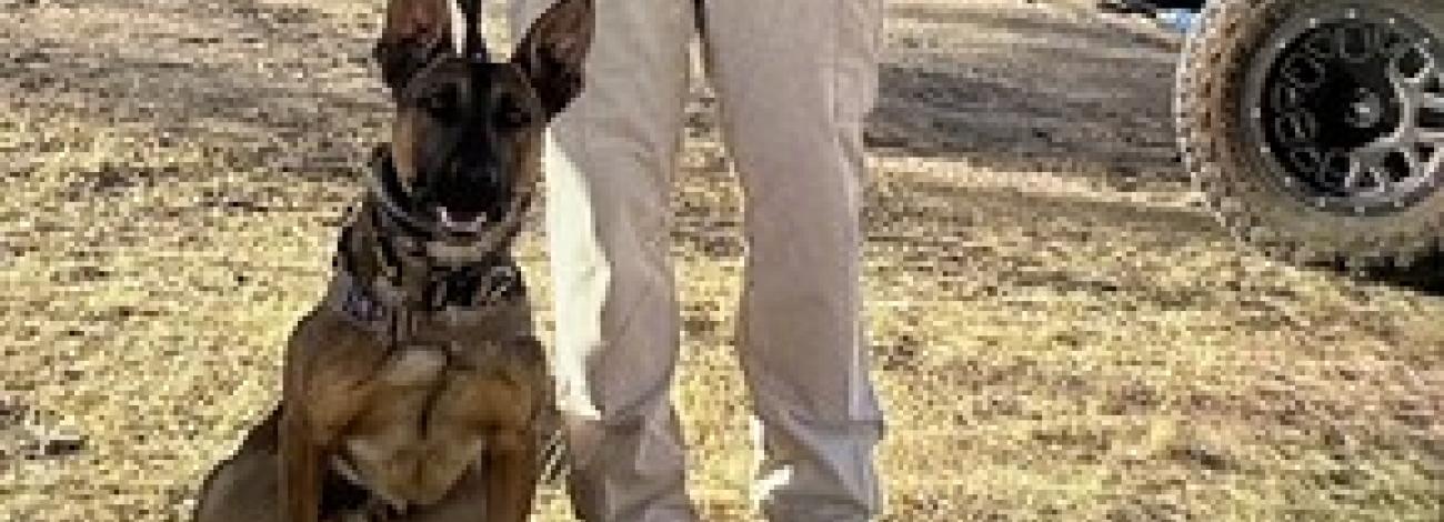 A uniformed officer poses with a dog.