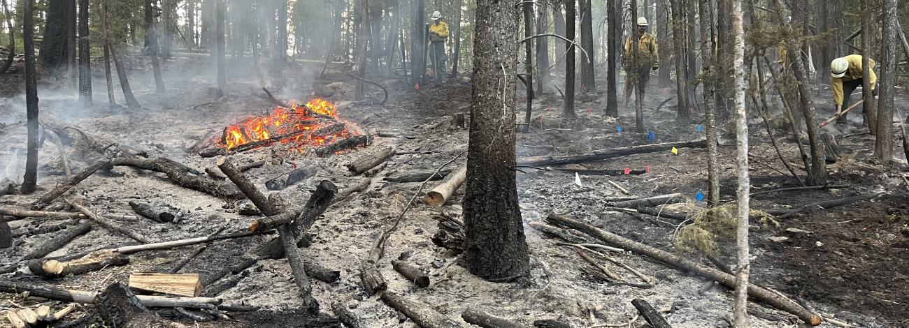 firefighting in Idaho