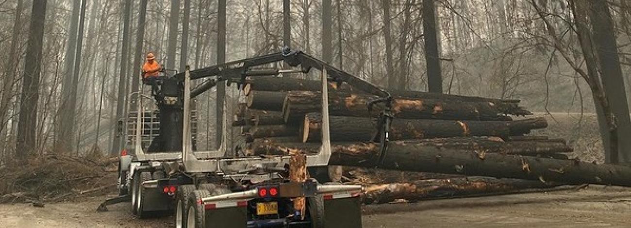 A truck hauls out burnt logs as wildfire smoke chokes up the air.