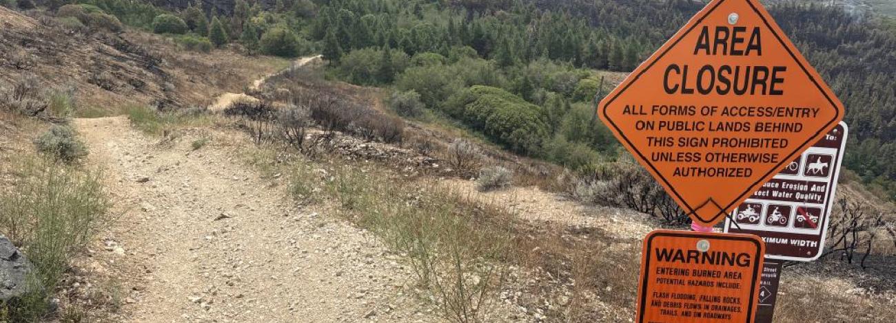 Photo of trail with closure sign and charred timber in background
