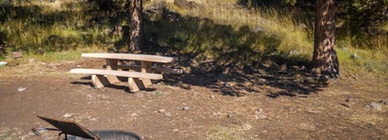 A fire pit and picnic bench in the forest. 