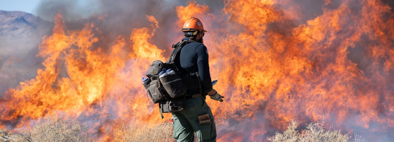 A fire fighter stands in front of a wall of fire