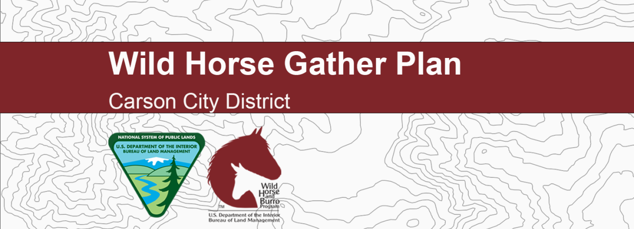 BLM and BLM Wild Horse and Burro Program logos underneath text: Wild Horse Gather Plan; Carson City District